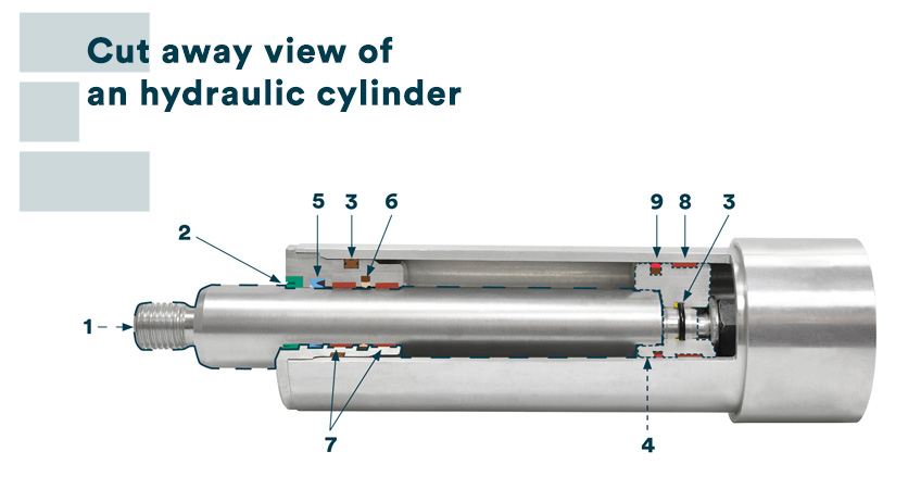 Cut away view of hydraulic cylinder - Epidor Seals and Rubber Technology