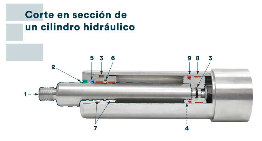 Corte en sección de un cilindro hidráulico - Epidor SRT