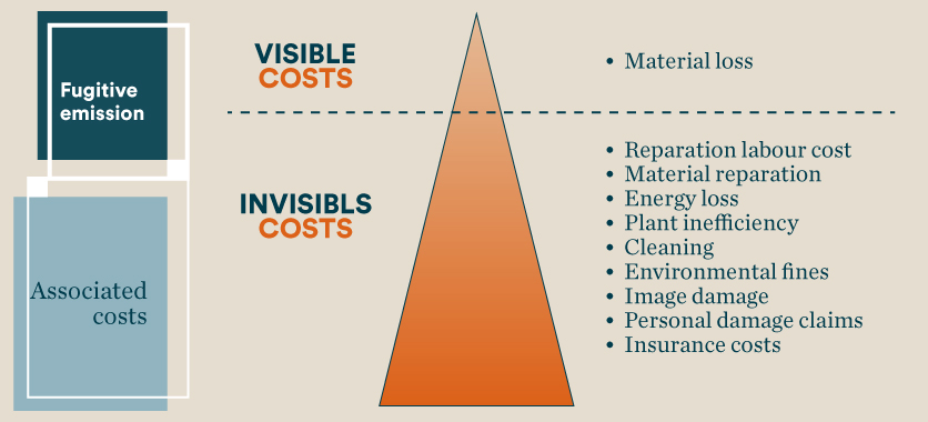 Visible and invisible costs of fugitive emissions